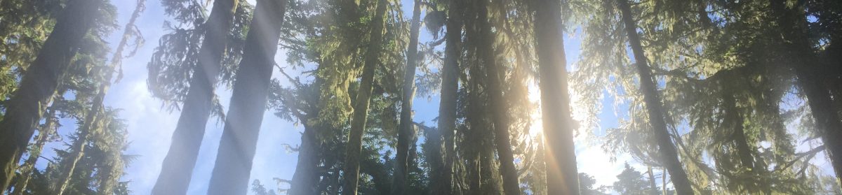 Happy Healthy Helping